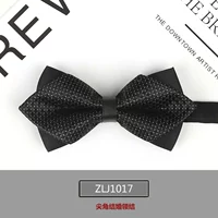 ZLJ1017