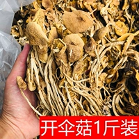 Jiangxi Guangchang Umbrella Tea Tree Mushroom Dry Specialty Product 500 г чайные грибы Специальные продукты