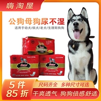 Золотой ретривер Большие собаки Физиологические штаны, посвященные подгузнику мужской киски с большим бешеном хриплом собаки Аляска