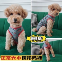 Bien di di dog safe под брюками сломанные собачьи брюки.