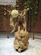 Rễ đá tự nhiên chạm khắc đá sàn giữ gỗ rắn toàn cây gốc phòng khách phòng ngủ ban công nghệ thuật hoa đứng - Các món ăn khao khát gốc