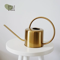 1,3 литр скандинавского длинного рта