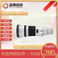 Thuê SLR Lens Canon EF 500mm f 4L IS II USM 540 hình ảnh của các loài chim Artifact II - Máy ảnh SLR ngàm chuyển canon sang nikon