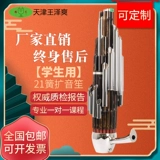 Essence Wang Zeleng Sheng Instrument 21 Spring Sheng Sheng Sheng Sheng Sheng Ученые Шенгэнки