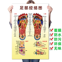 Флип-чарт для ступней, лечебный массажер для ног, постер