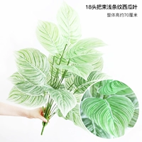 Восемнадцать голово