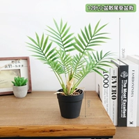 Лимонно-желтая пальма в горшке