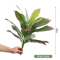 Кампания красное железное дерево