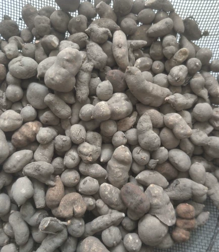 Санье Цин Чжэцзян 500 грамм 90 Юань Санье Цинчжонг Лечебный материал Санье Циндзин Линия висящая тыква