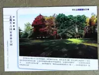 Билеты о фаворитах Шанхай коммунистический молодежный национальный лесной парк Yingri Lotus Postage Ticket MP13
