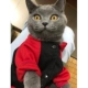 Superman Sweater-Uutumn и Winter-Button-Red и Black