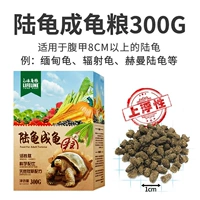 Установка земельной черепахи Зерна 300G 300G