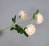 Мелкое шампанское