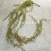 Mô phỏng mọng nước treo người yêu nước mắt hạt cườm hoa giả Sen trang trí mục vụ phù hợp với cây xanh bán buôn trái cây - Hoa nhân tạo / Cây / Trái cây