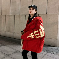 Куртка, демисезонная утепленная одежда, коллекция 2023, в корейском стиле