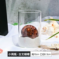 Маленькая трубка бутылка+древняя Wen Snail