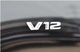 【V12】 Bid x2