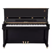 Sokarston, Vương quốc Anh SOKASTON Piano "SP-TZ" Royal Piano Piano Professional Piano - dương cầm