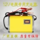 12V2A Horse Racelight Model