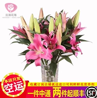Две головы и три -парфюмеры цветы лилии, база Юньнана Кунминга, прямые волосы подарок свежие нарезанные цветы