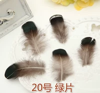 № 20 зеленый фильм