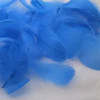 100 синих корней лимона желтого