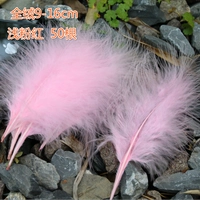 Светло -розовый полный бархат 50 корней