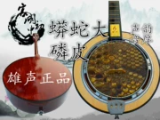 Nam âm thanh đích thực Quảng Đông Sanxian Qinqin da trăn lớn nhạc cụ opera - Nhạc cụ dân tộc