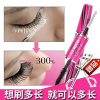 Thái Lan Mistine 4D Mascara không thấm nước và chống mồ hôi dày và dài chống nếp nhăn dài - Kem Mascara / Revitalash mascara 3ce