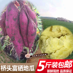 【爆款】富硒新鲜香薯红薯5斤现挖现发