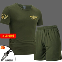 Армейский зеленый набор 675+300