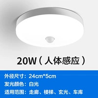 Физиологичный, индукционный, 20W