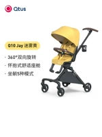 Q10-Misty Yellow