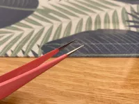 Прямая голова