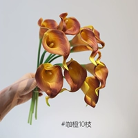 Little Horseshoe Lotus 10 Branch [кофейный апельсин]