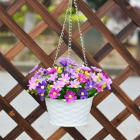 Mô phỏng giỏ treo hoa trang trí hoa lan treo trong chậu treo hoa giả cây xanh mô phỏng hoa lan trần giả hoa treo tường - Hoa nhân tạo / Cây / Trái cây chậu hoa giả