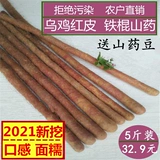 5 фунтов фермеров Прямая продажа Wuji Red Pi Wen County Iron Stick Yam Yin Yam о свежем хенан Цзяуай Хуайхуашан