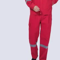 Хлопковые красные штаны, 240 грамм