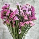 Ultra -Large 2nd Bunch of Light Purple+Pink+Red 2 фунта