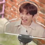 Bian Boxian Shake Music, Exo Park Chanlie, Wu Shixun Stands Brand Spring Car Dornmants