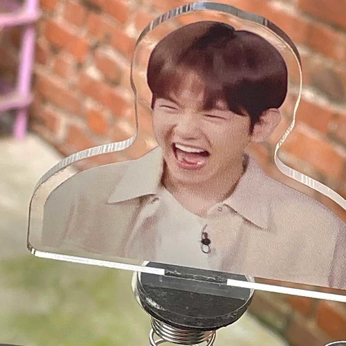 Bian Boxian Shake Music, Exo Park Chanlie, Wu Shixun Stands Brand Spring Car Dornmants