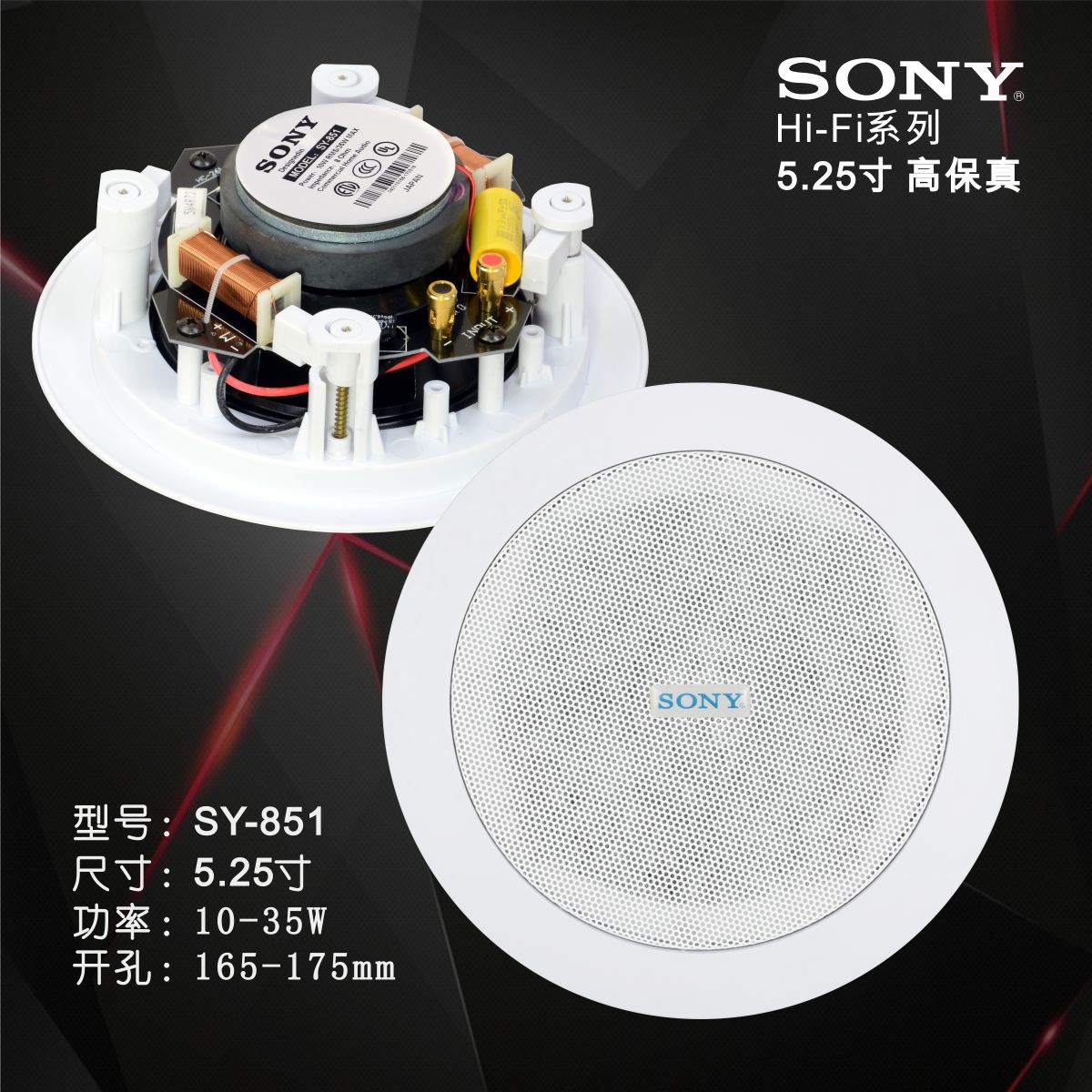 sony overhead speakers