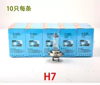 Foshan Zhao Bubble H7 24V 100W 10