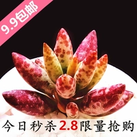 Голубое озеро