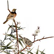 Su thêu DIY kit người mới bắt đầu giới thiệu Bài Hát người hoa và chim chim tre tự học thêu tay mẫu để gửi hướng dẫn