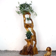 Long não gỗ rắn gỗ đứng một gốc khắc khung cây bonsai kệ tự nhiên gốc cây trang trí cửa hàng - Các món ăn khao khát gốc