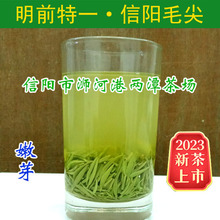 Новый чай Xinyang Mood Speel 2023 « До завтрашнего дня» 100 г ростков альпийского зеленого чая