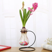 Sáng tạo treo lục bình bình thủy khung hoa rèn sắt xanh nước cây thủy tinh container trang trí trang trí - Vase / Bồn hoa & Kệ
