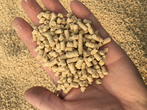 Самонопроизводимые чистые зерновые гранулы питайте курицу корм.