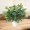 Cây mô phỏng trang trí trong nhà và ngoài trời nhựa giả chậu trồng củ cải xanh trồng trong chậu mô phỏng hoa và cây web cây cà phê hoa giả - Hoa nhân tạo / Cây / Trái cây